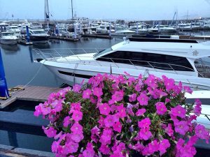 冲津-2014大连国际游艇展